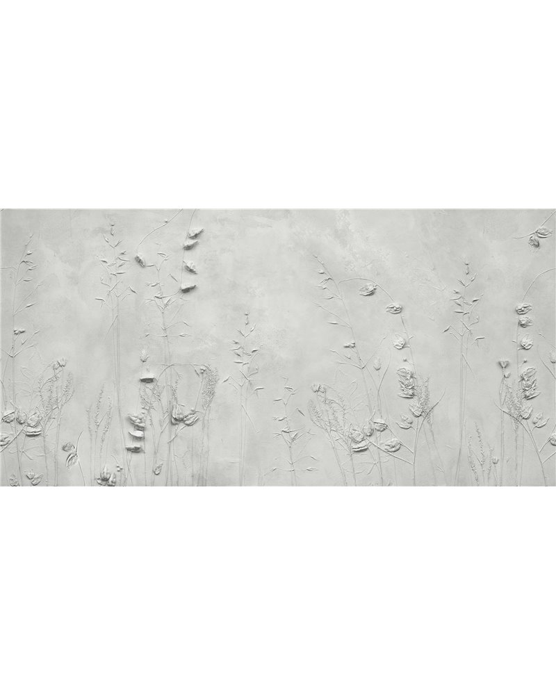 DRYAS NATURE  SE34180-C