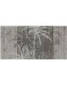 TROPICO DEL CANCRO SE34242