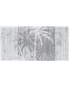 TROPICO DEL CANCRO SE34242-C