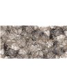 AGATA SE34316-C