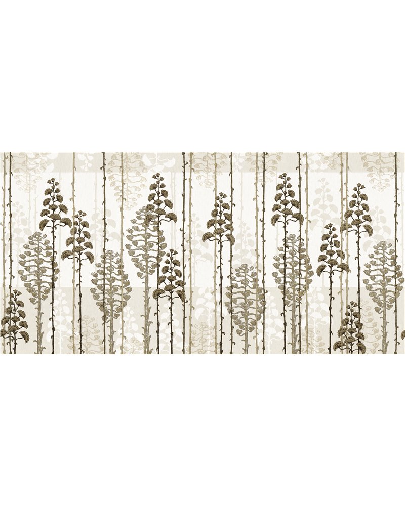 AGAVE SE34361-C