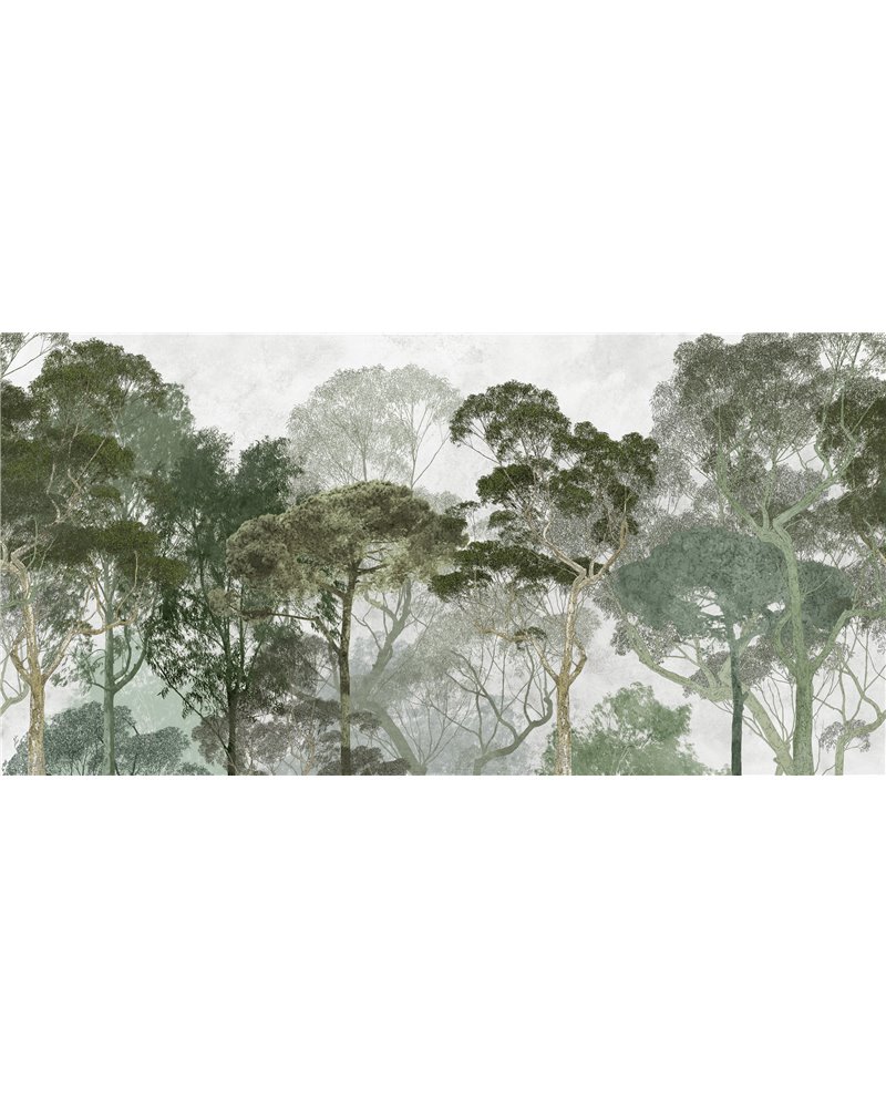 MEDITERRANEA SE34367-C