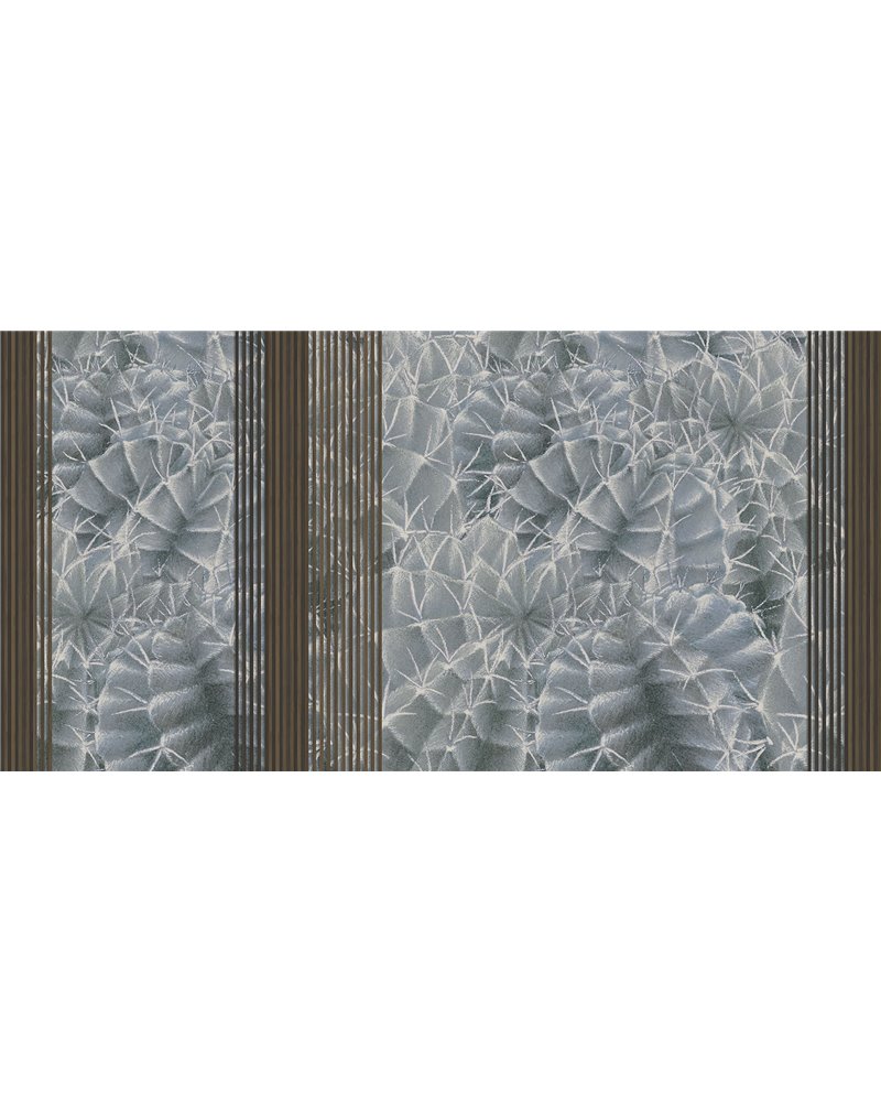 CACTUS RAPSODY SE34434-C