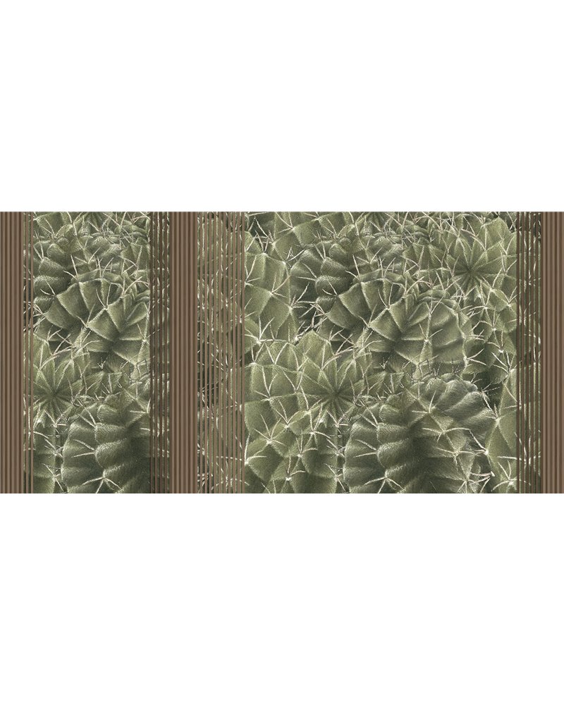 CACTUS RAPSODY SE34434-C1