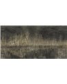 CONTEMPLAZIONE SE34466-C