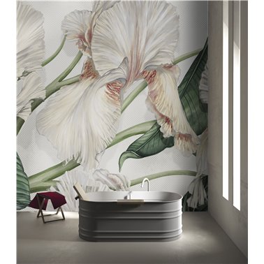 WILD IRIS SE34409