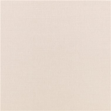 Linara Chickpea 2494435