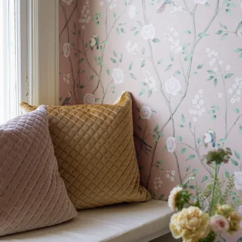 IMG DREAMY ESCAPE