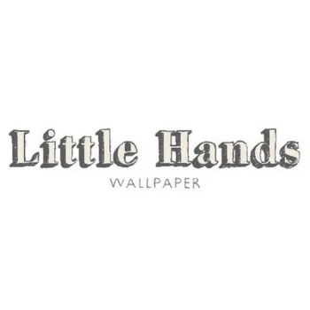 IMG LITTLE HANDS