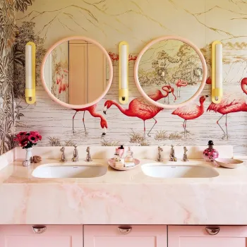 IMG FLAMINGOS